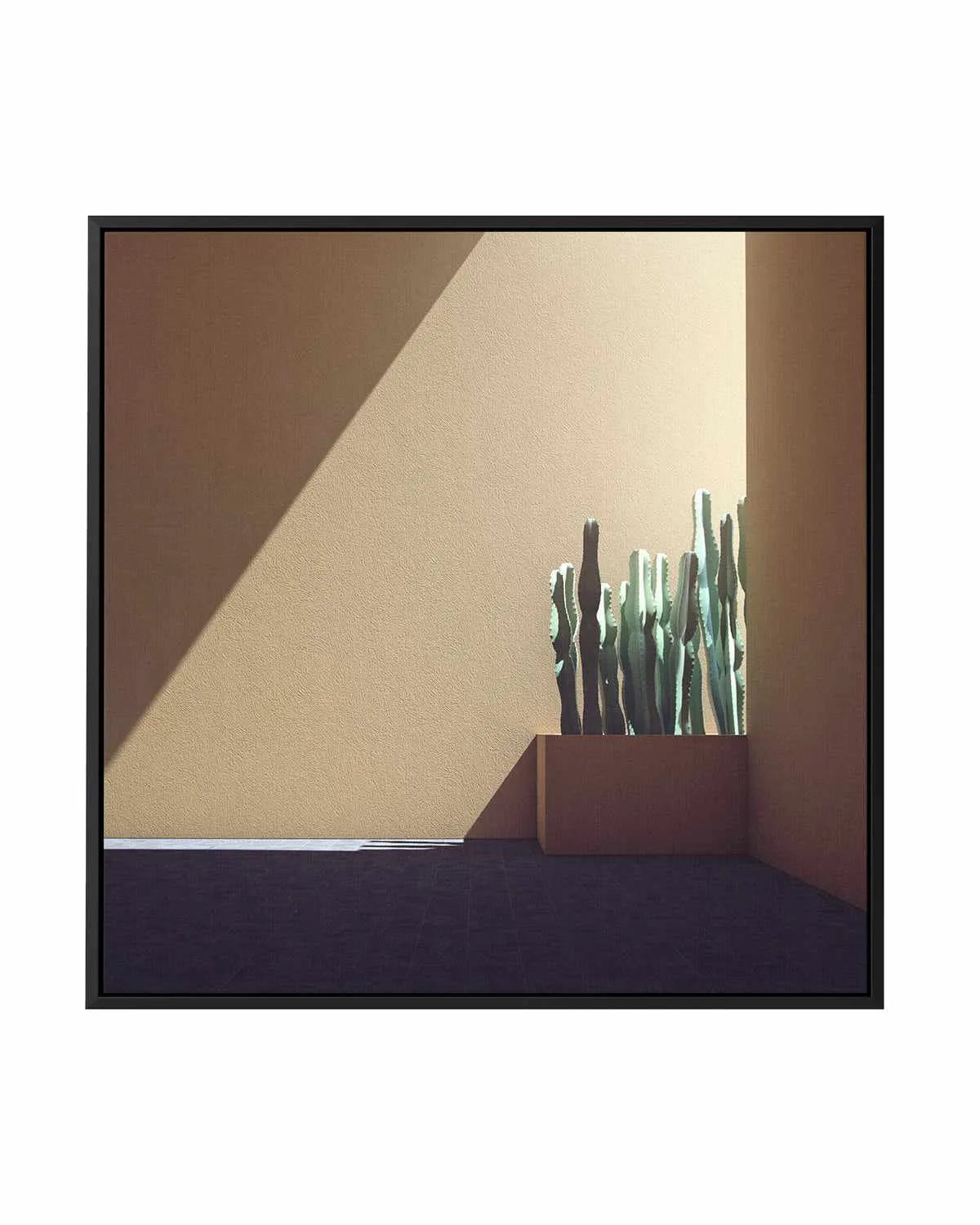 Cactus Wall by Guachinarte | Framed Canvas Art Print from Olive et Oriel where you can shop wallpaper and artworks online