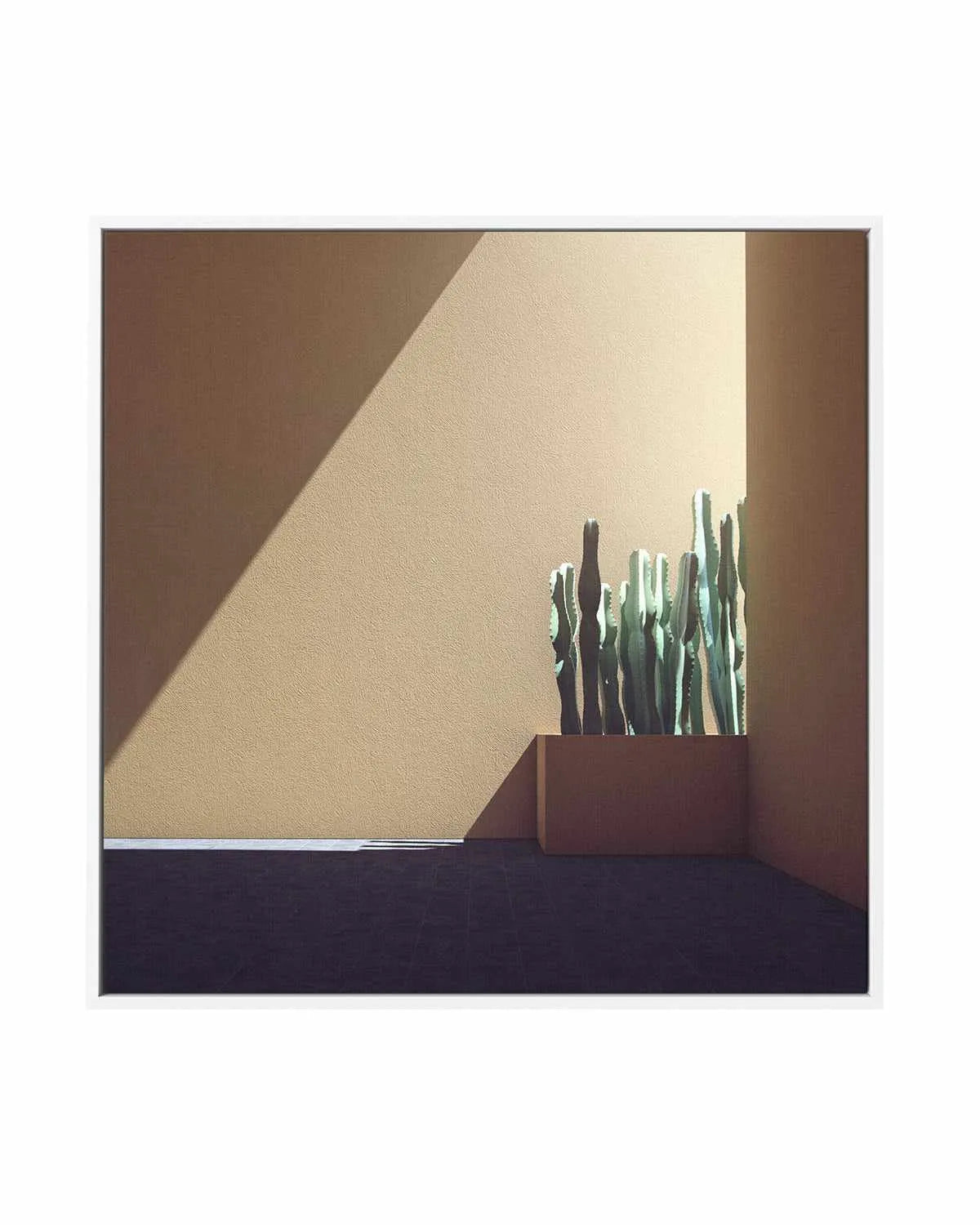 Cactus Wall by Guachinarte | Framed Canvas Art Print from Olive et Oriel where you can shop wallpaper and artworks online