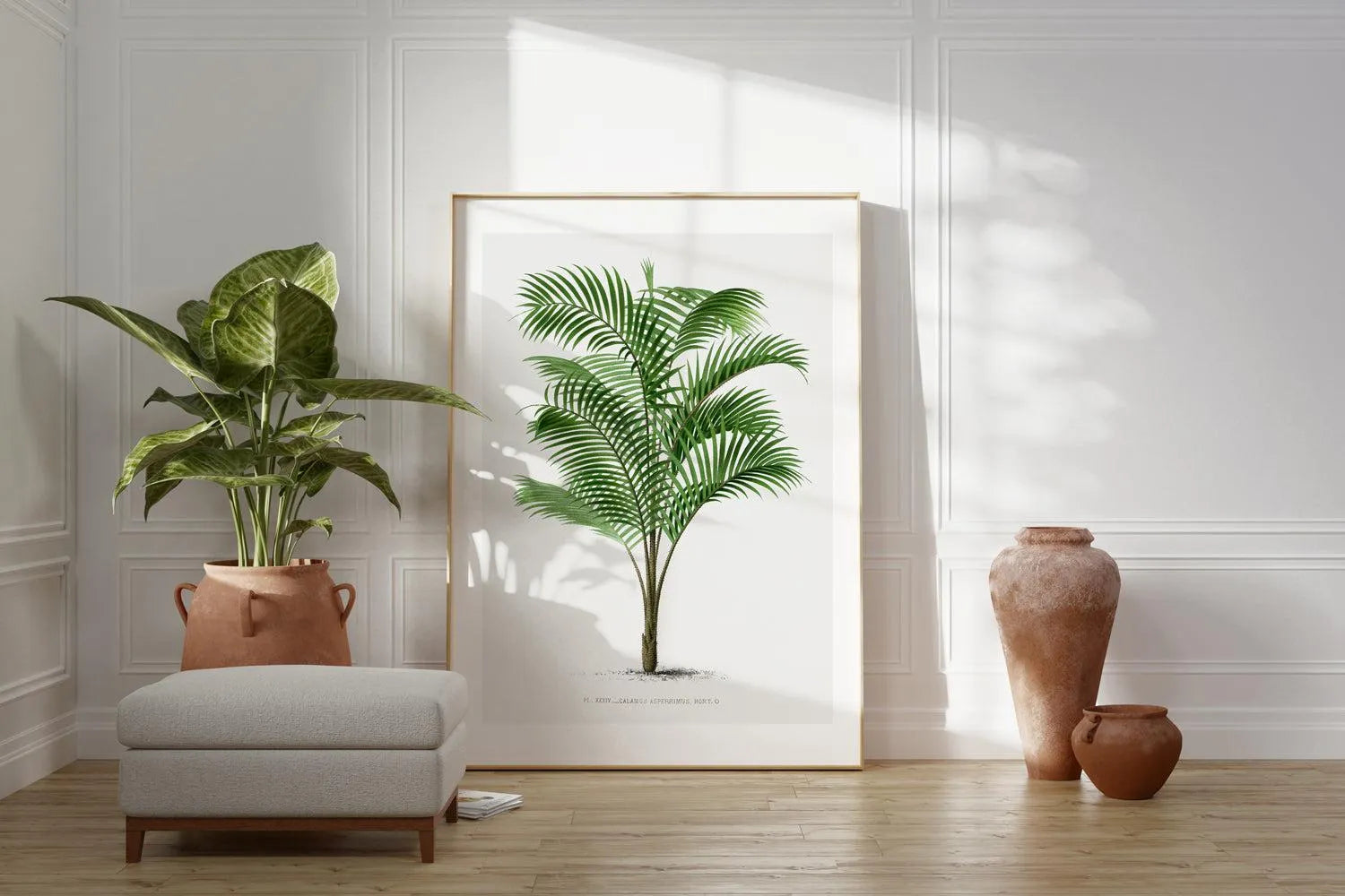 Calamus Asperrimus Vintage Palm Poster Art Print from Olive et Oriel where you can shop wallpaper and artworks online