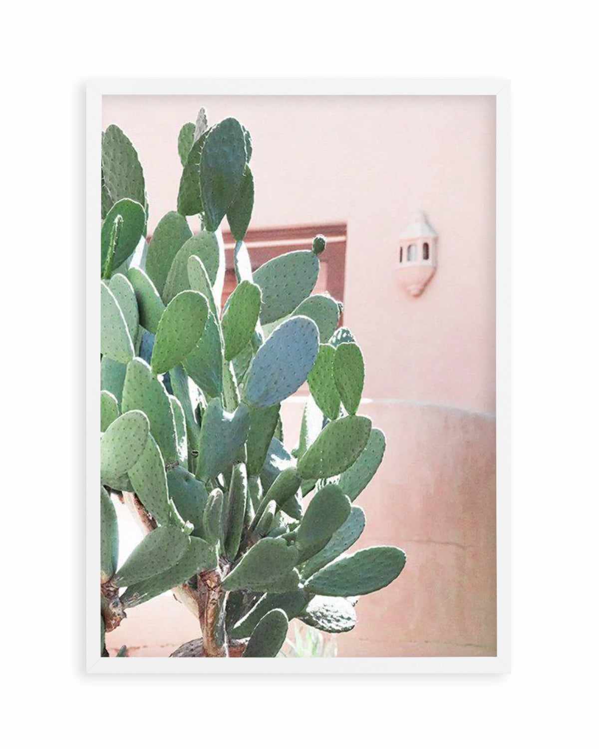 California Cactus I Art Print