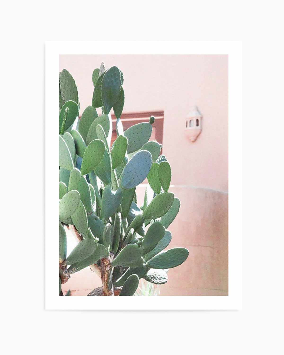 California Cactus I Art Print