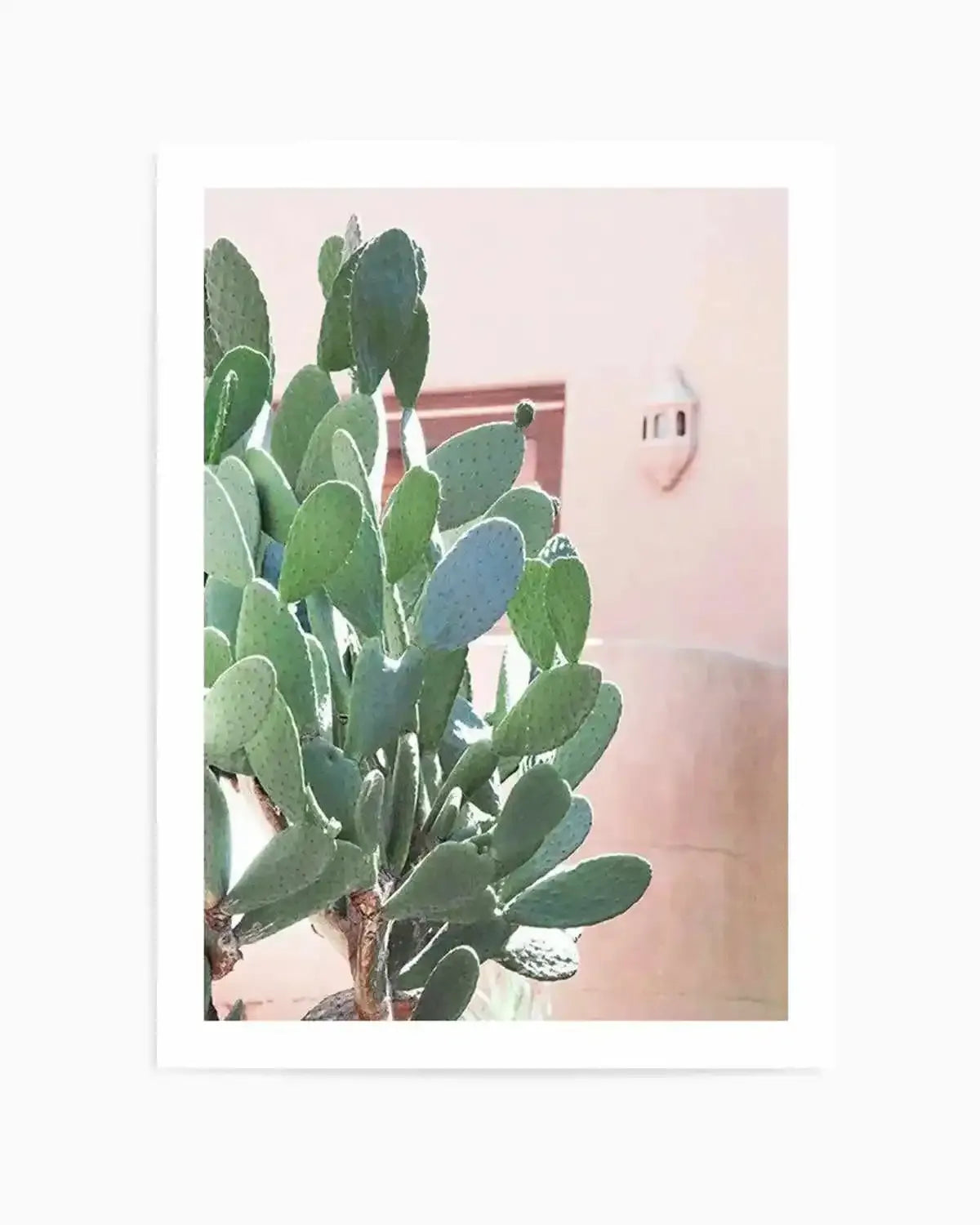 California Cactus I Art Print from Olive et Oriel where you can shop wallpaper and artworks online