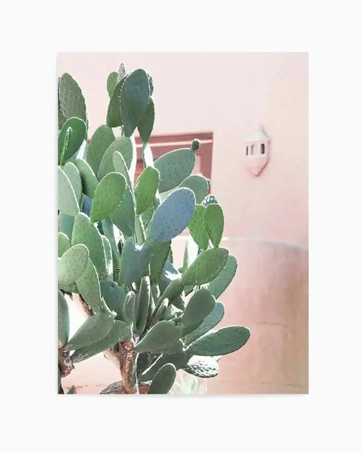 California Cactus I Art Print from Olive et Oriel where you can shop wallpaper and artworks online