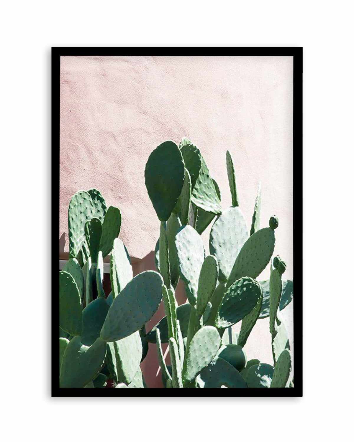 California Cactus II Art Print