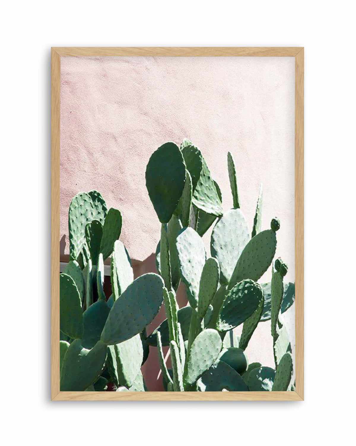 California Cactus II Art Print