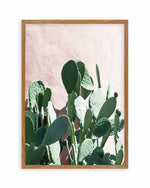 California Cactus II Art Print