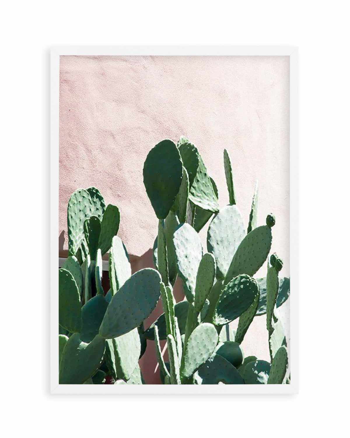 California Cactus II Art Print