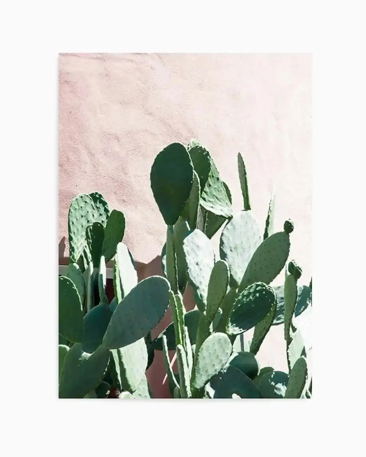 California Cactus II Art Print from Olive et Oriel where you can shop wallpaper and artworks online