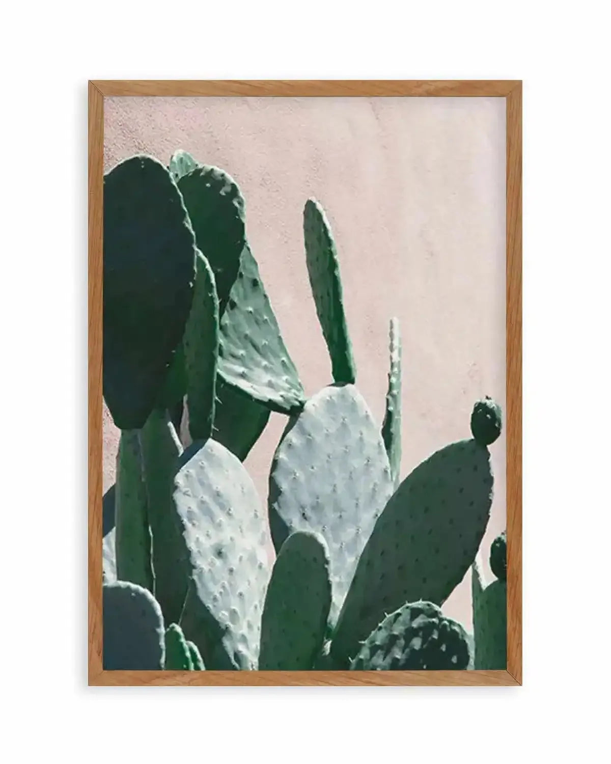 California Cactus III Art Print from Olive et Oriel where you can shop wallpaper and artworks online
