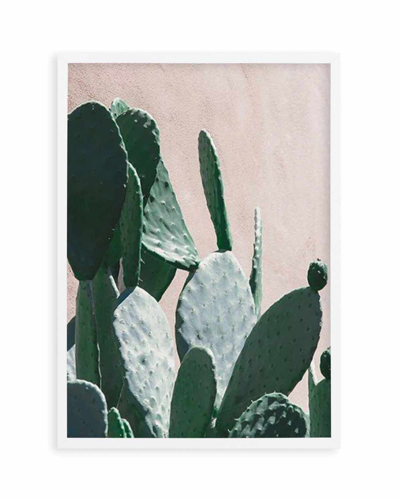 California Cactus III Art Print