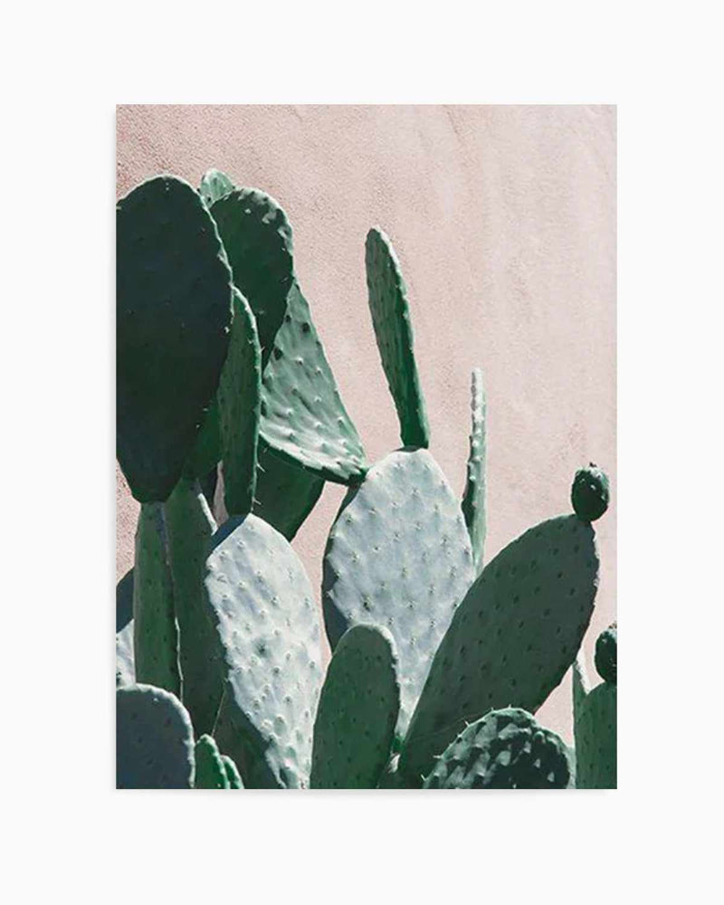 California Cactus III Art Print