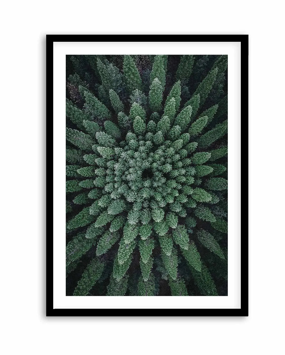 California Circle Trees by Kalen X | Art Print from Olive et Oriel where you can shop wallpaper and artworks online