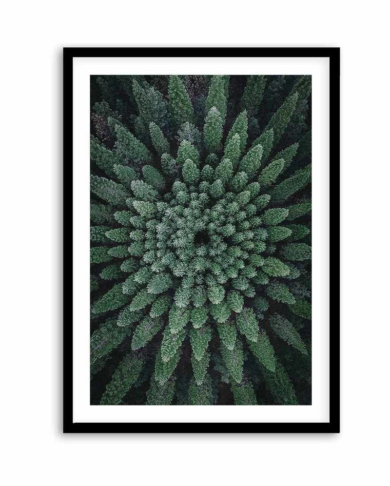 California Circle Trees by Kalen X | Art Print
