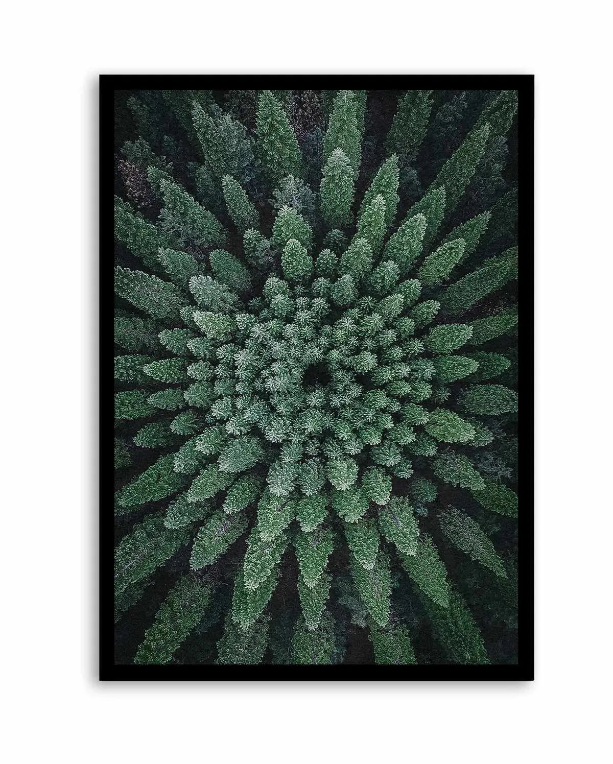 California Circle Trees by Kalen X | Art Print from Olive et Oriel where you can shop wallpaper and artworks online