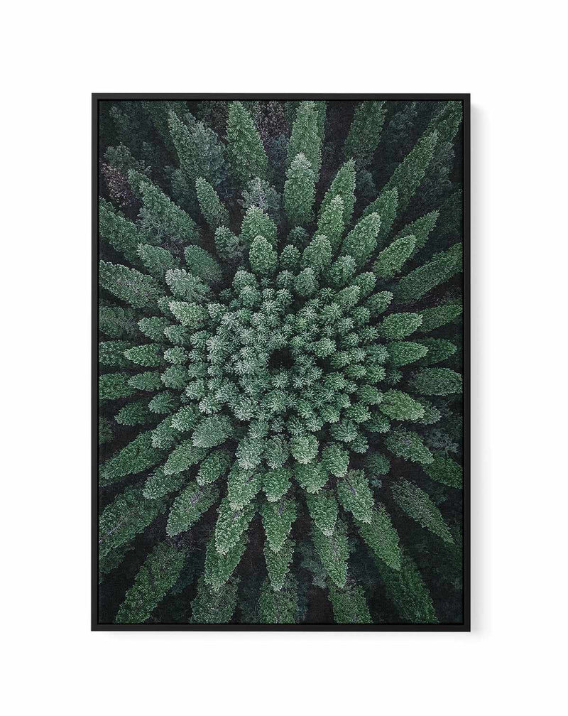 California Circle Trees by Kalen X | Framed Canvas Art Print
