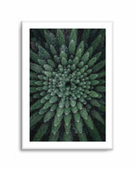 California Circle Trees by Kalen X | Art Print