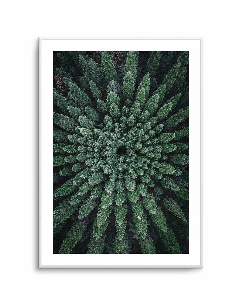 California Circle Trees by Kalen X | Art Print