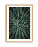 California Circle Trees by Kalen X | Art Print