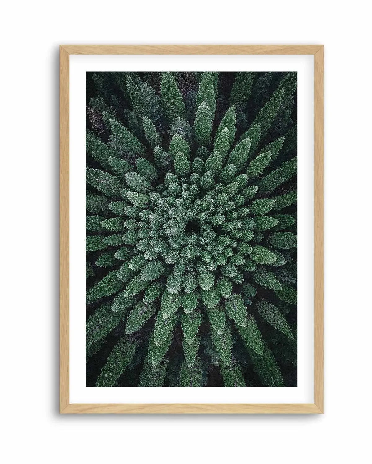 California Circle Trees by Kalen X | Art Print from Olive et Oriel where you can shop wallpaper and artworks online