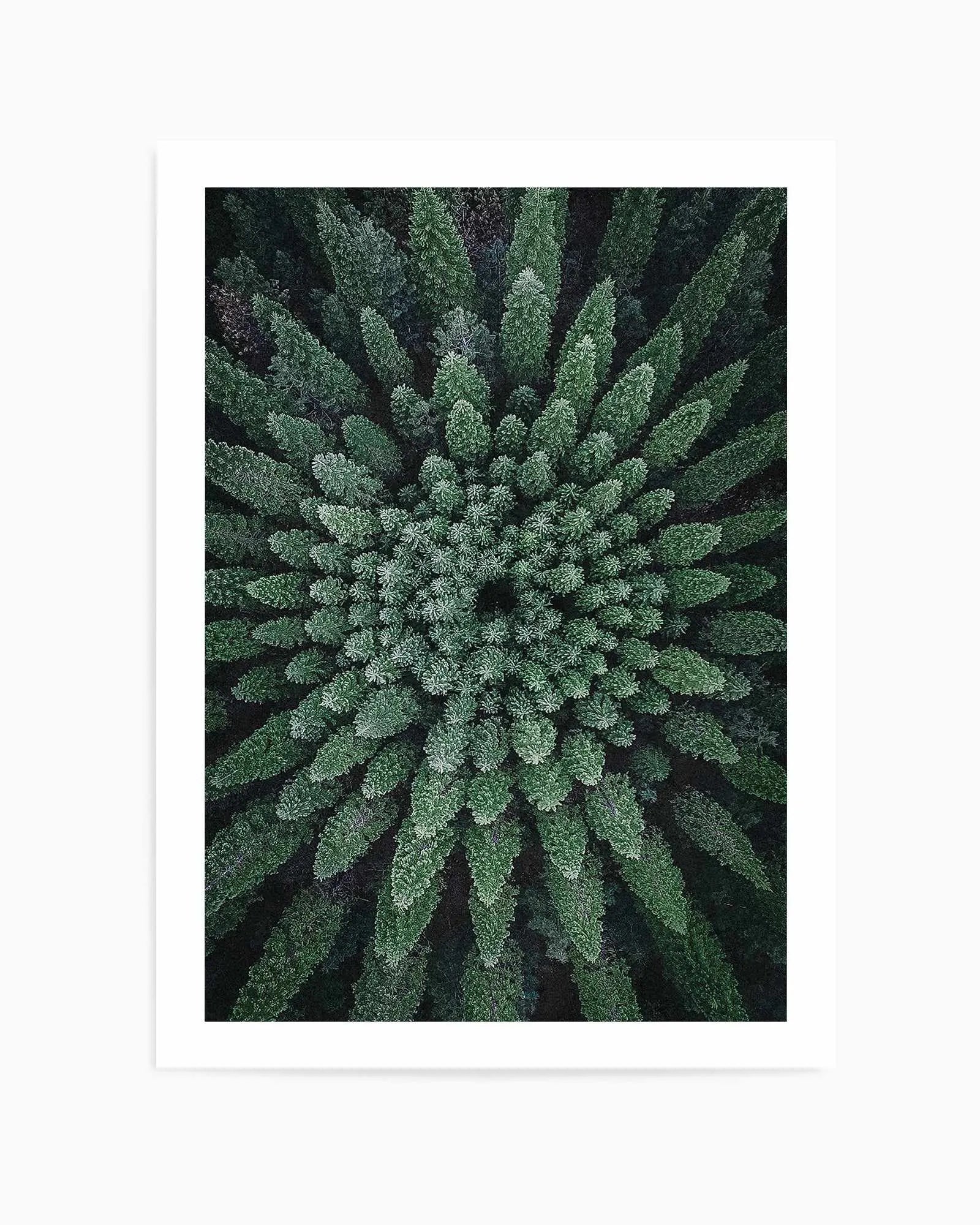 California Circle Trees by Kalen X | Art Print from Olive et Oriel where you can shop wallpaper and artworks online