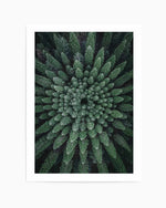 California Circle Trees by Kalen X | Art Print