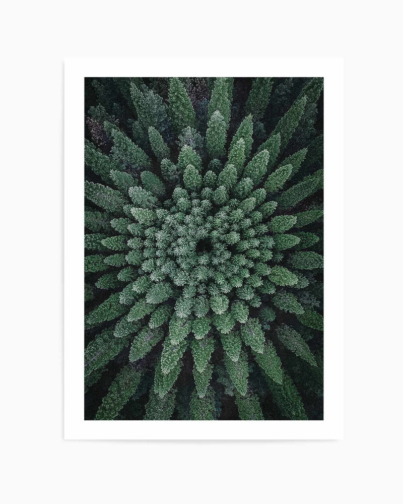 California Circle Trees by Kalen X | Art Print