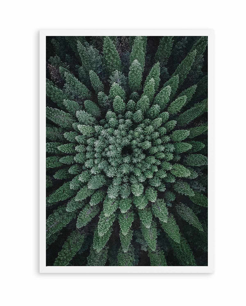 California Circle Trees by Kalen X | Art Print