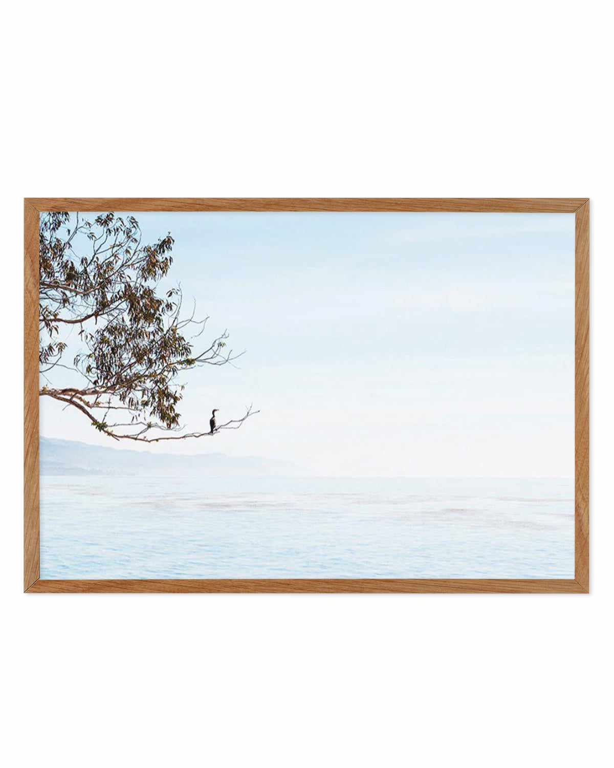 Calm View Art Print