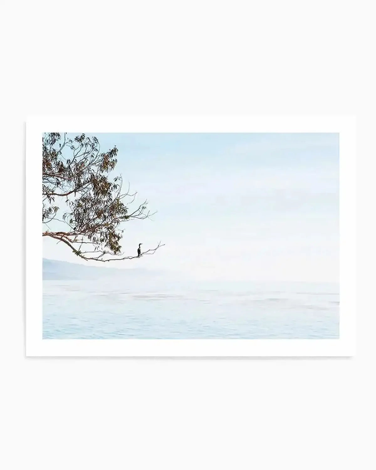 Calm View Art Print from Olive et Oriel where you can shop wallpaper and artworks online