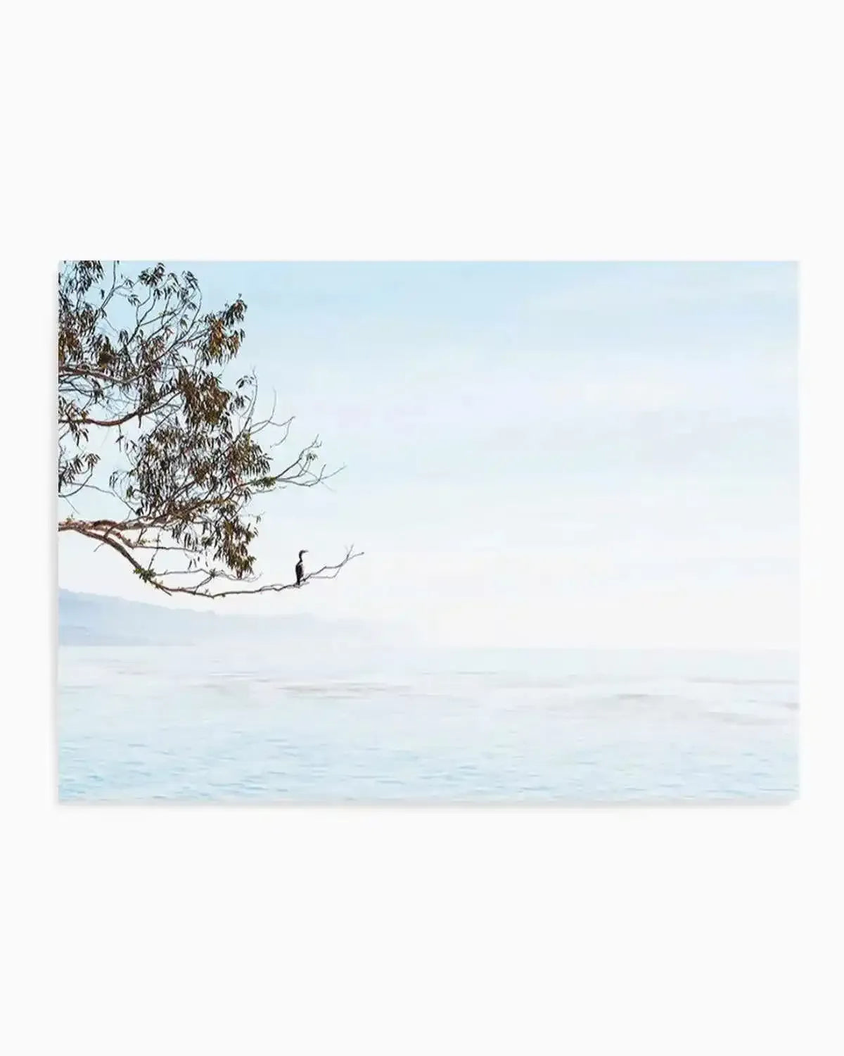 Calm View Art Print from Olive et Oriel where you can shop wallpaper and artworks online