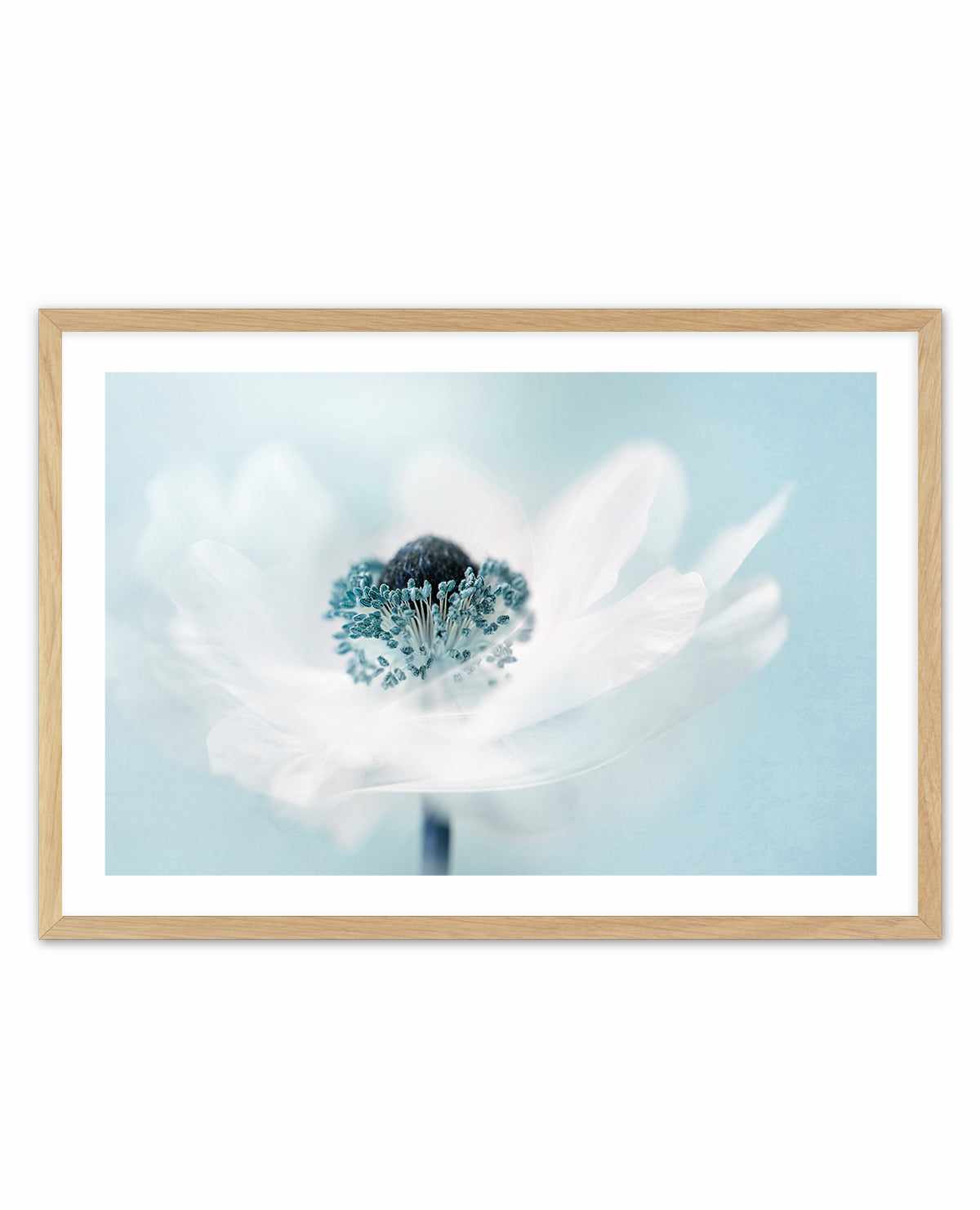 Candy Floss by Jacky Parker | Art Print