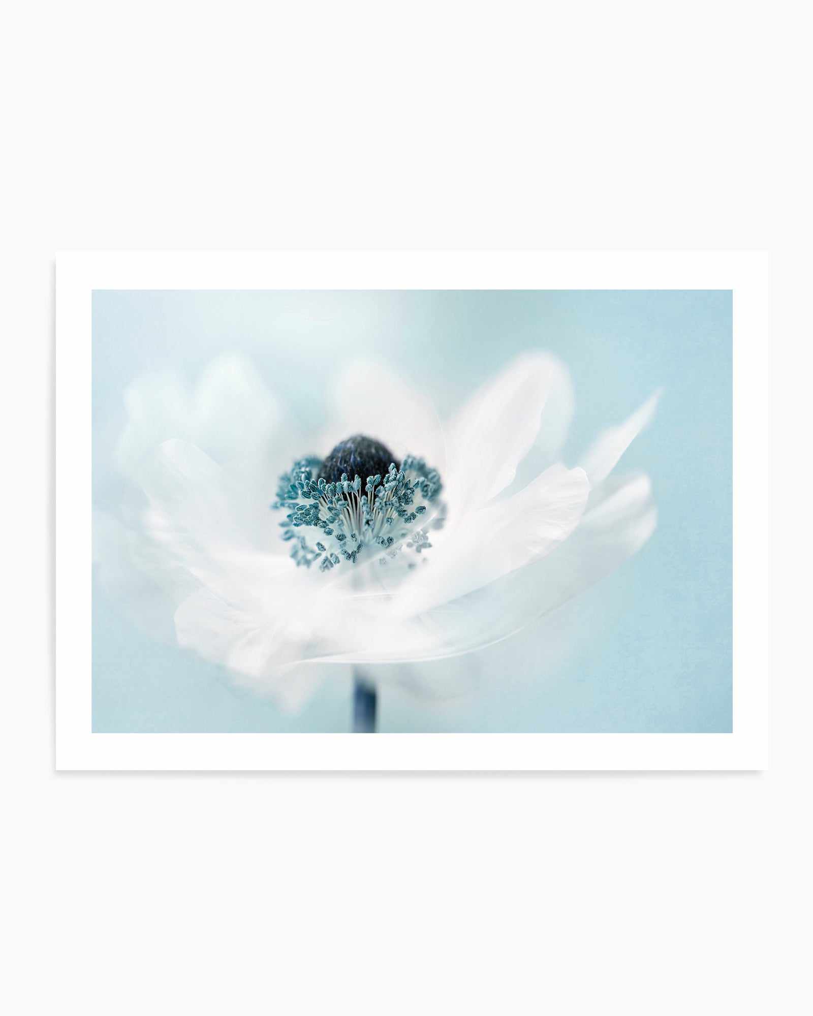 Candy Floss by Jacky Parker | Art Print