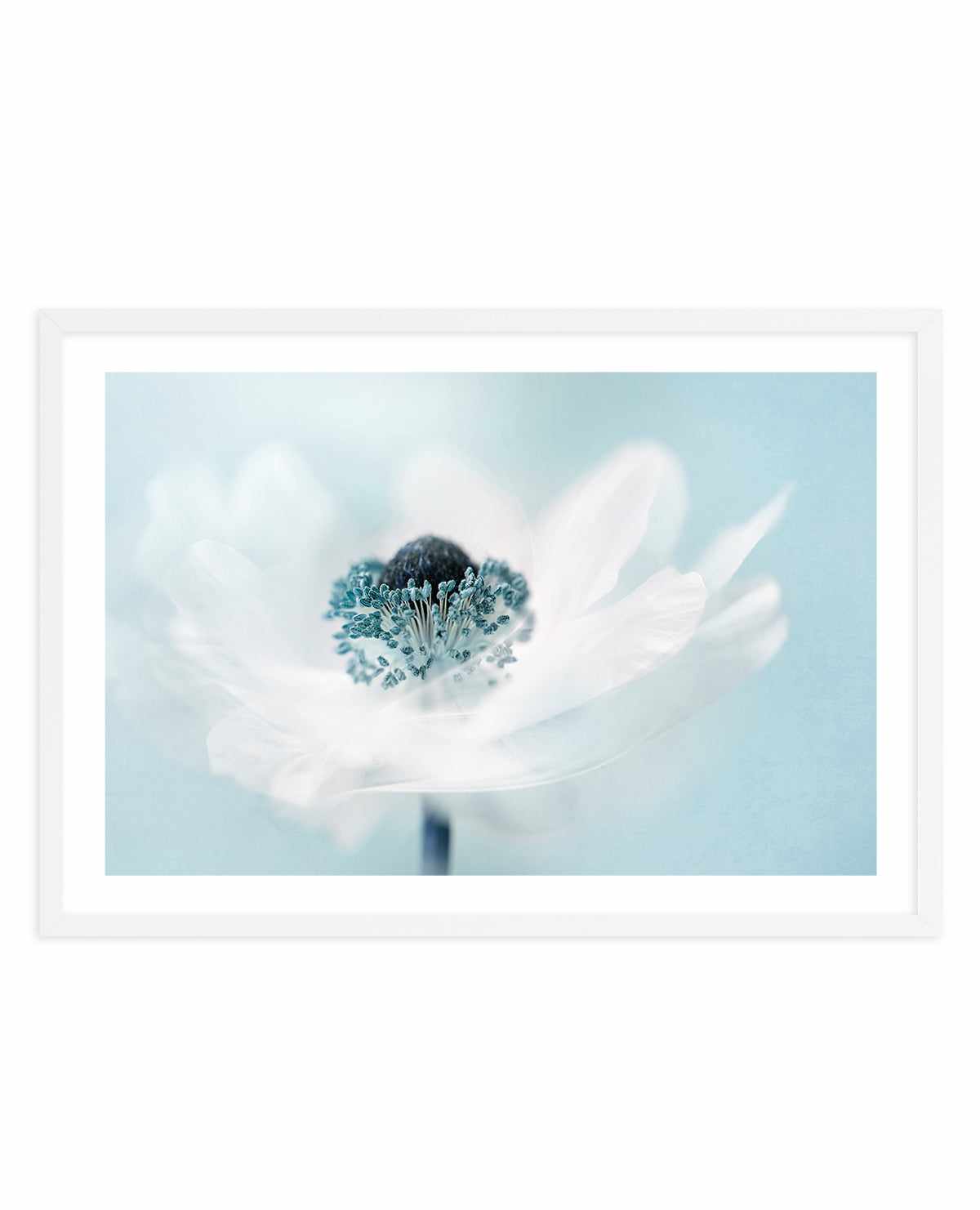 Candy Floss by Jacky Parker | Art Print