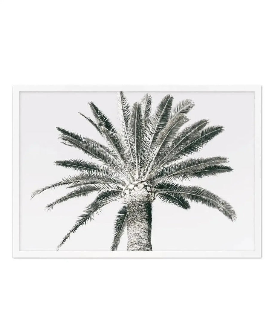 Black and white detailed illustration of a palm tree viewed from below, showing the trunk and fronds radiating upward in a symmetrical composition. The artwork features fine line work with careful shading on the textured trunk and delicate rendering of the feathered fronds. Printed on white background and displayed in a white wooden frame with white border.