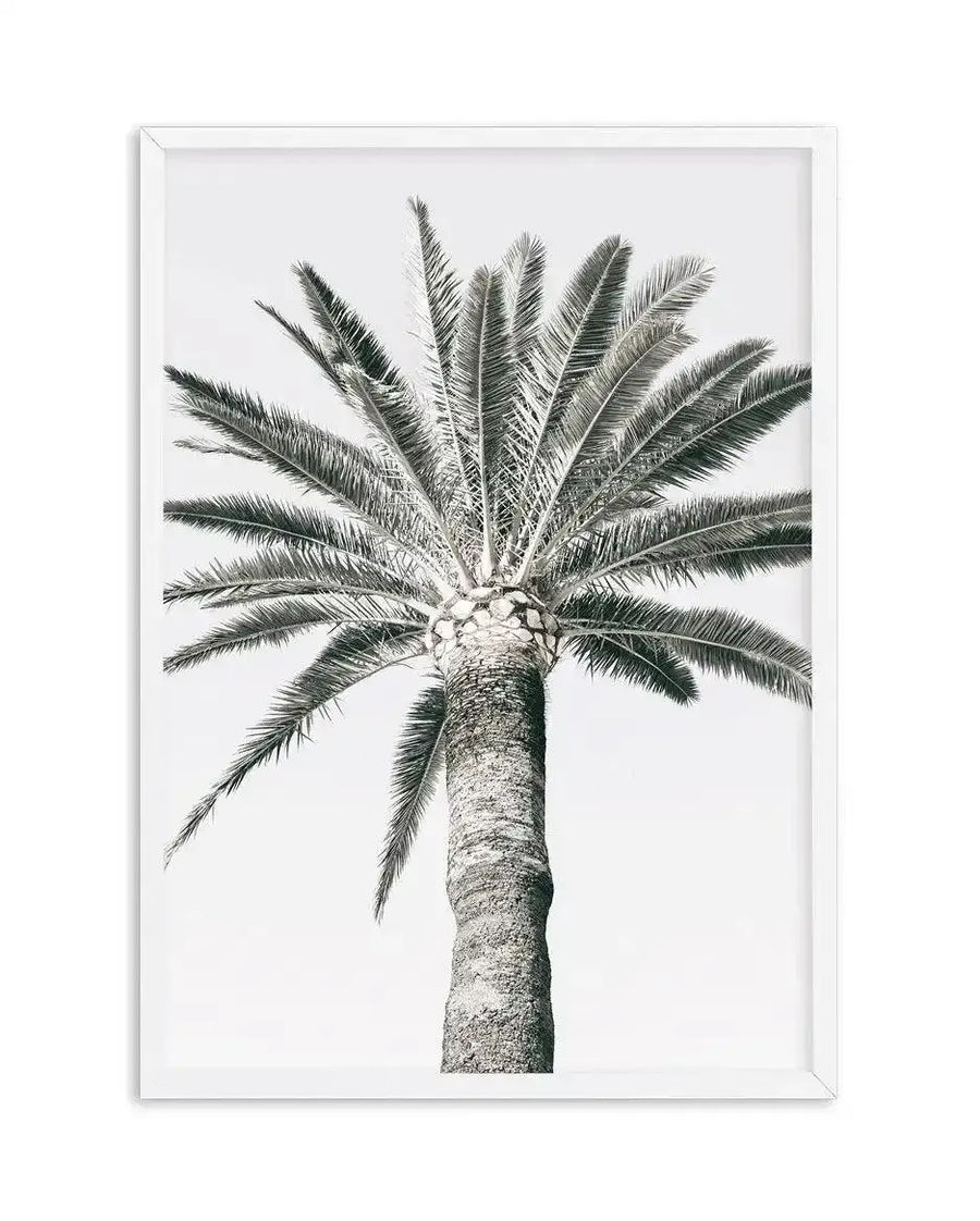 Black and white botanical illustration of a palm tree viewed from directly below, showing the trunk extending upward and fronds radiating outward in a symmetrical pattern. The artwork features fine pen detailing with intricate linework depicting the texture of the rough trunk and the delicate, feathery fronds. The print is mounted in a white wooden frame with a white border against a light background.