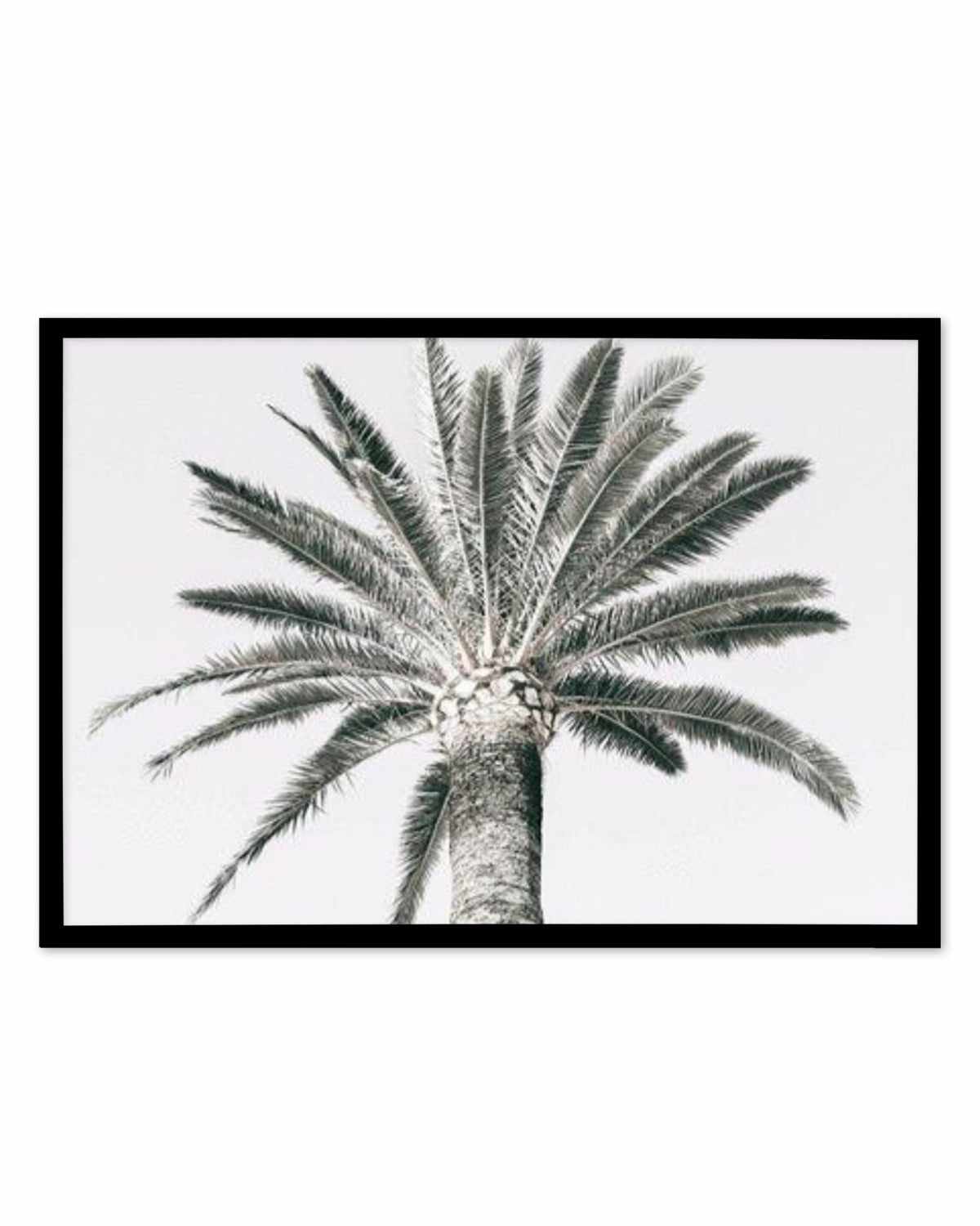 Cannes Palm | LS Art Print