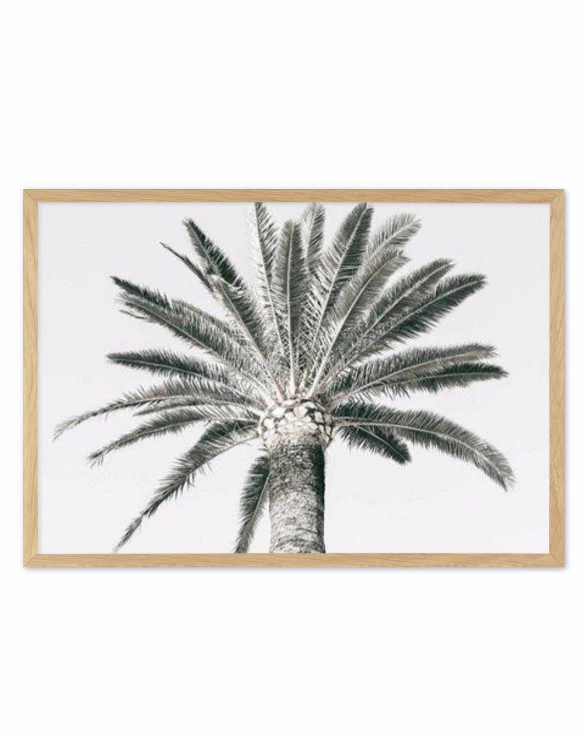 Cannes Palm | LS Art Print