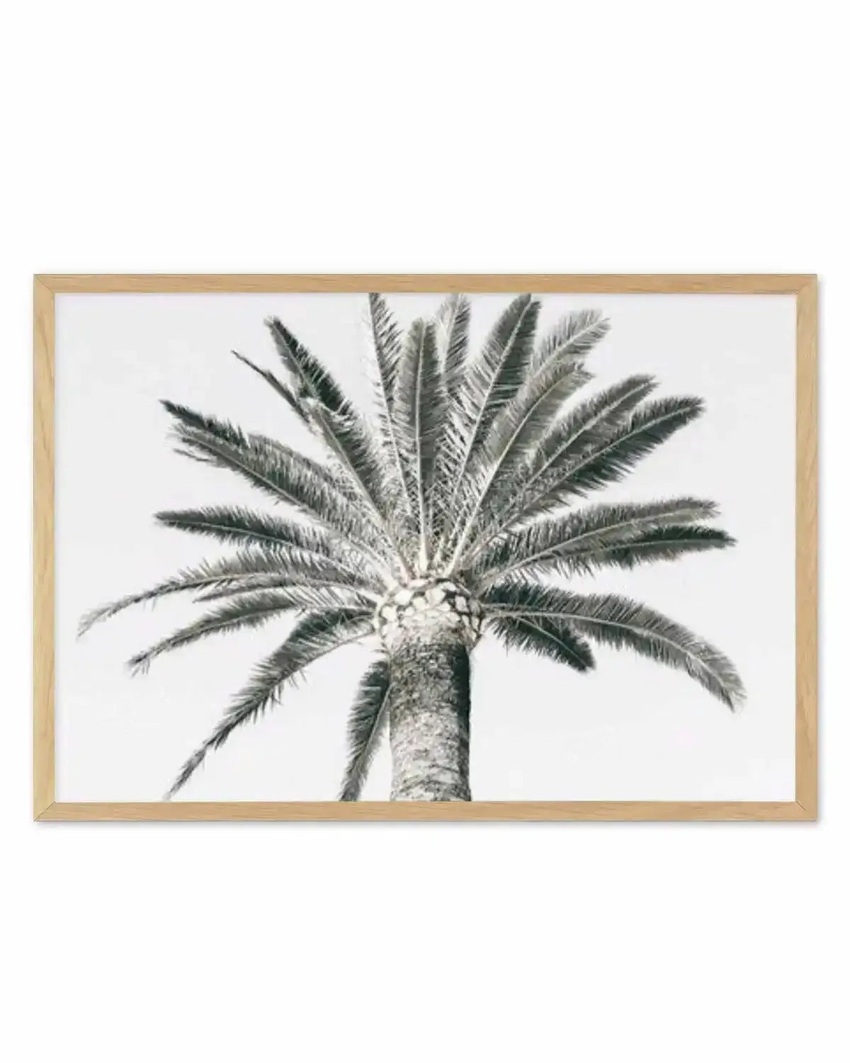 Cannes Palm | LS Art Print from Olive et Oriel where you can shop wallpaper and artworks online