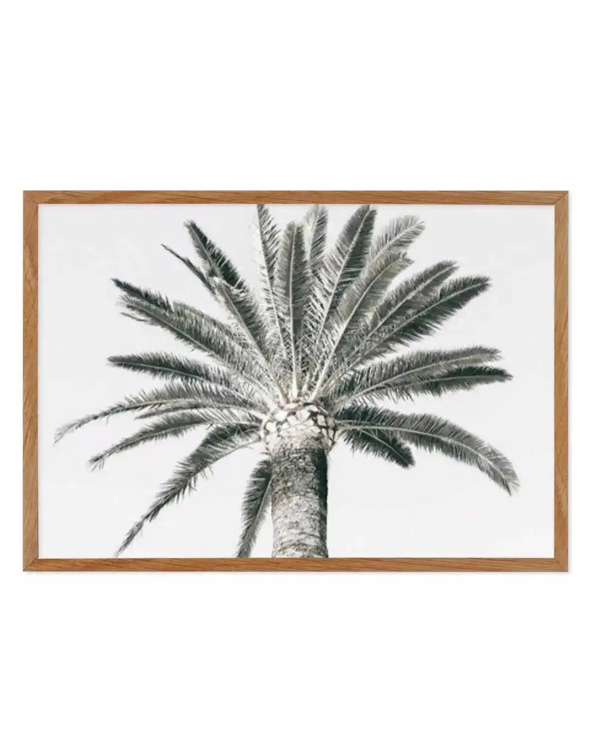 Cannes Palm | LS Art Print from Olive et Oriel where you can shop wallpaper and artworks online