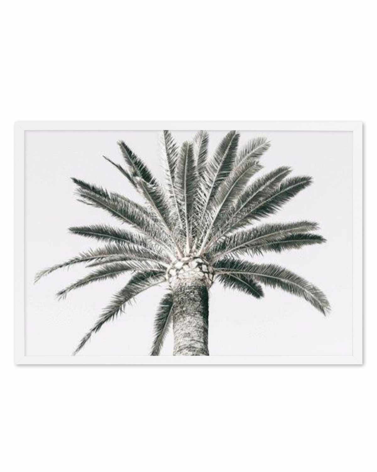 Cannes Palm | LS Art Print