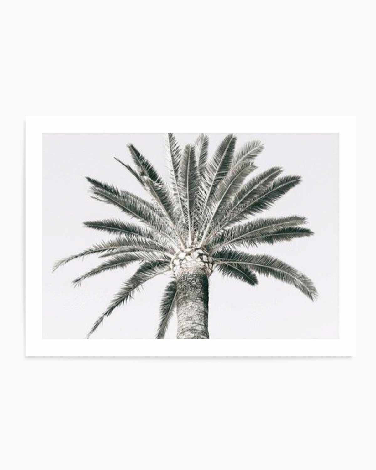 Cannes Palm | LS Art Print