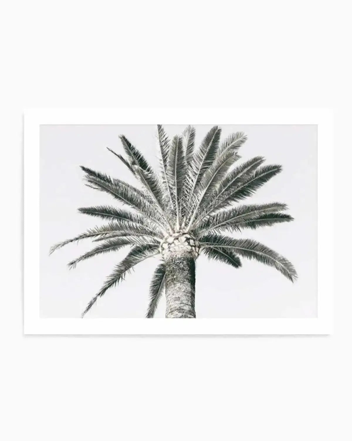 Cannes Palm | LS Art Print from Olive et Oriel where you can shop wallpaper and artworks online