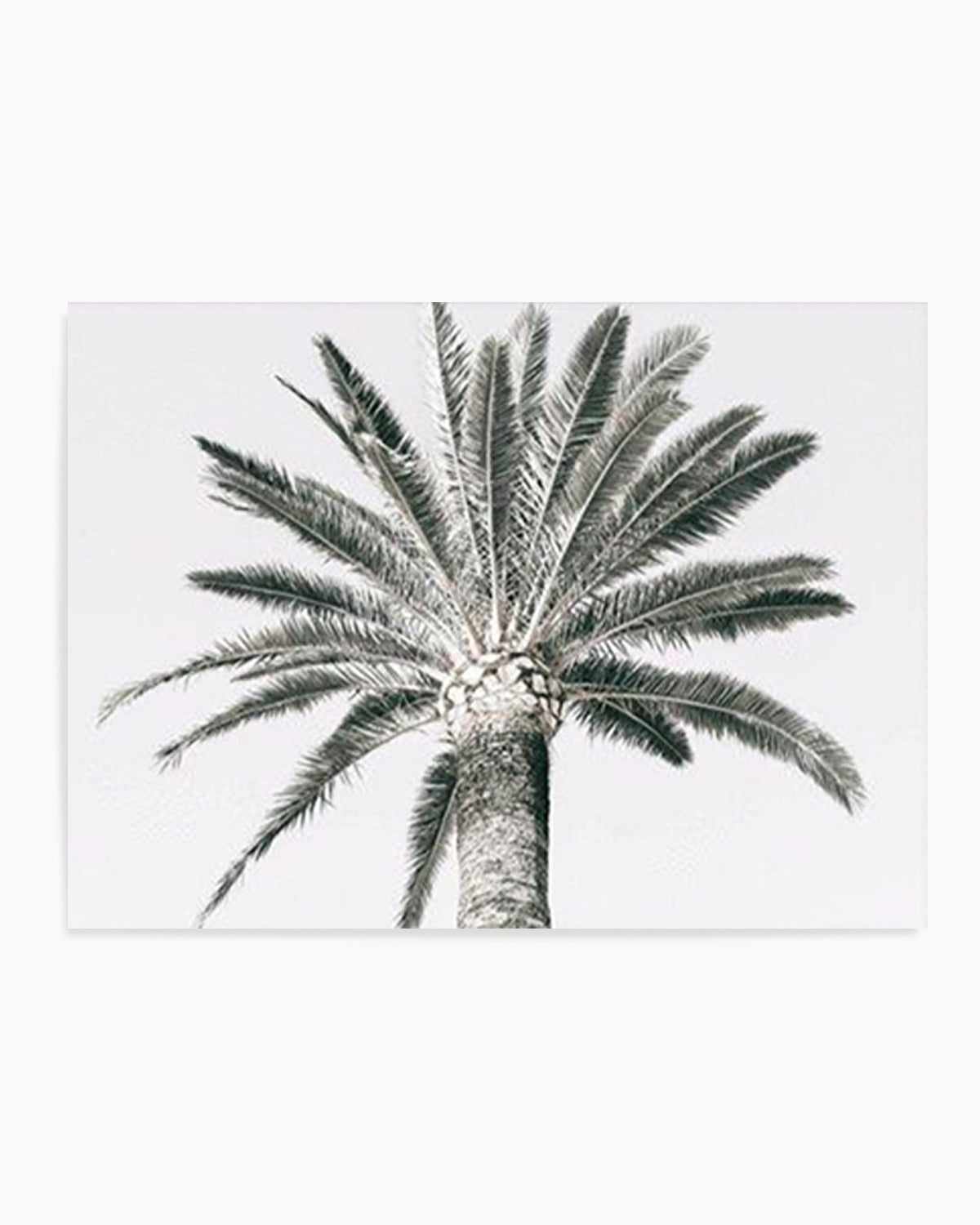 Cannes Palm | LS Art Print