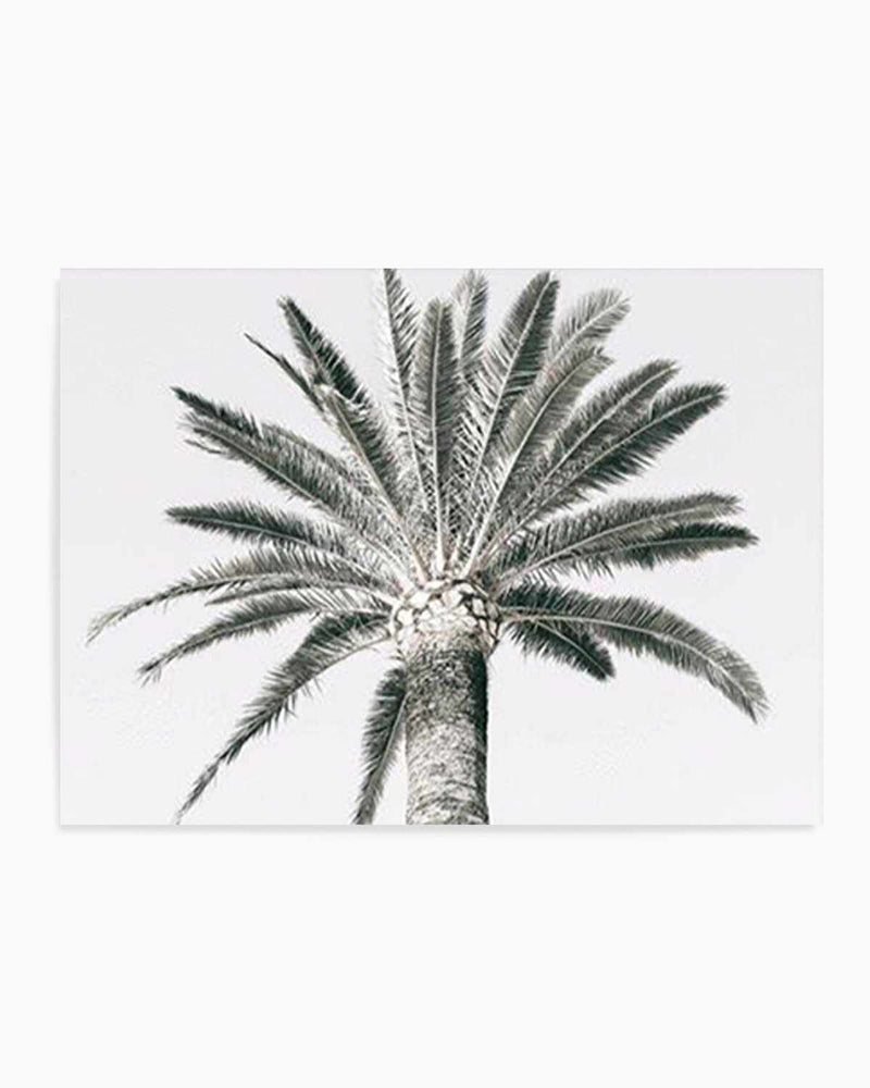 Cannes Palm | LS Art Print