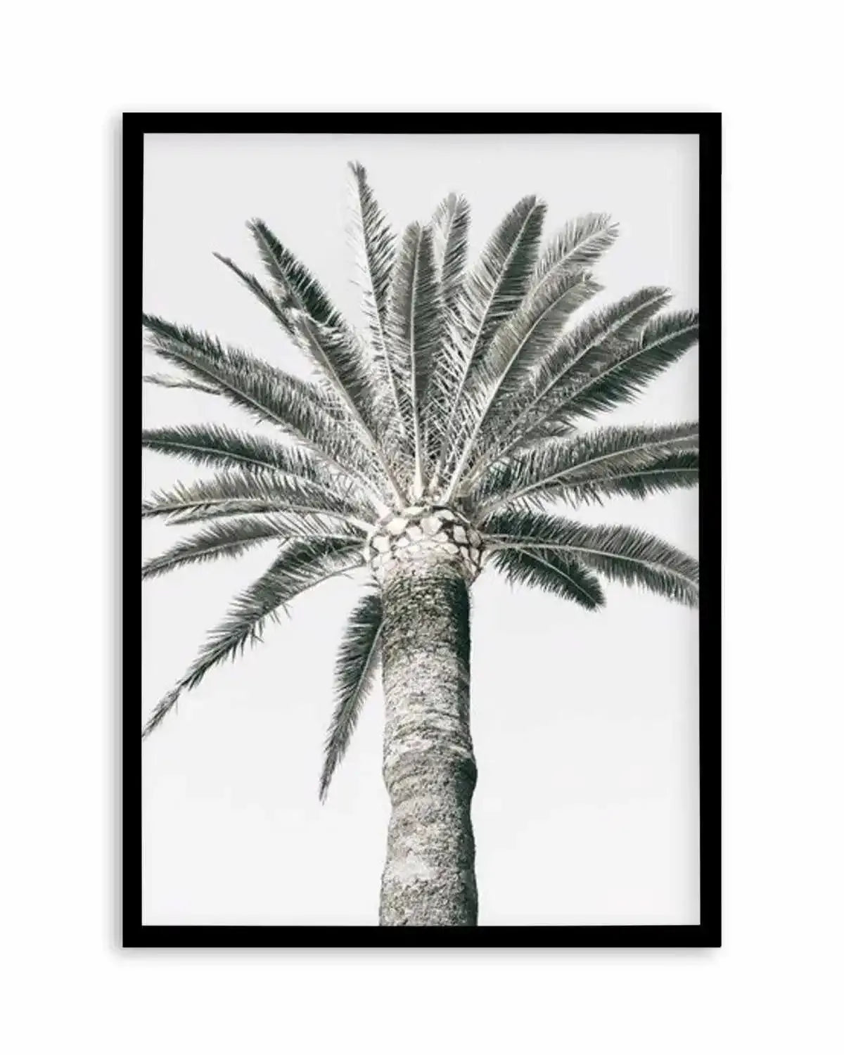 Cannes Palm | PT Art Print from Olive et Oriel where you can shop wallpaper and artworks online