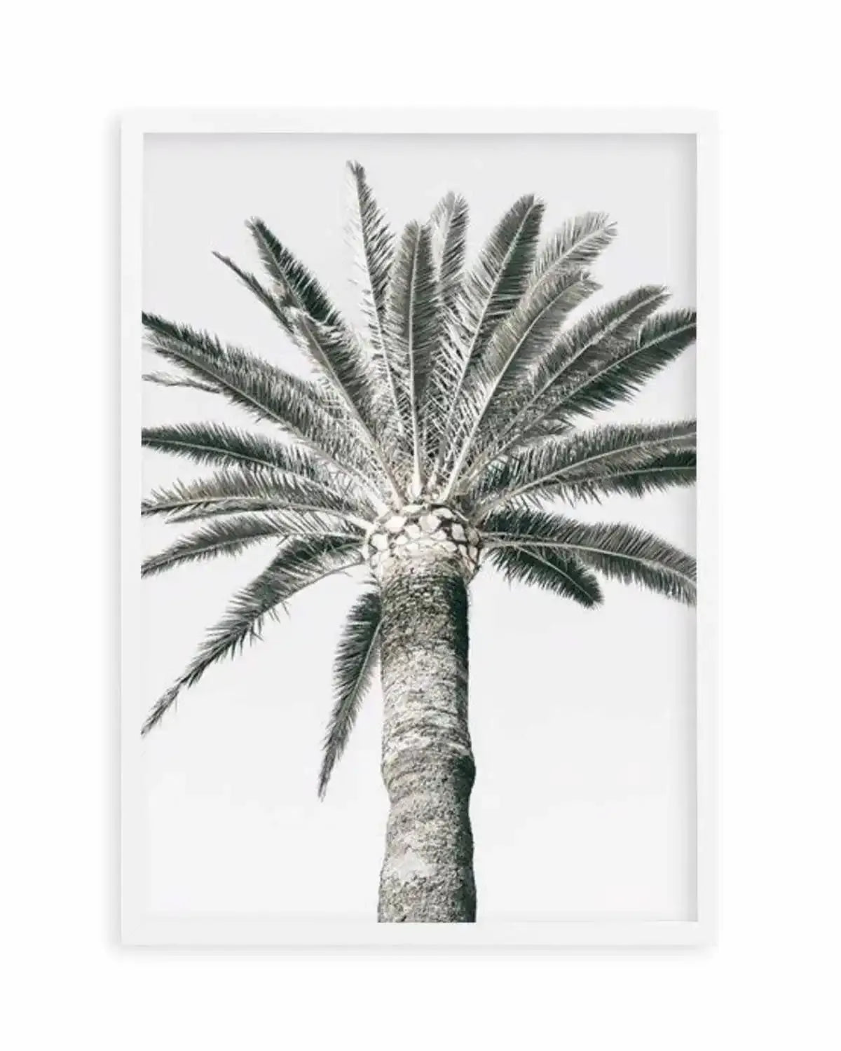 Cannes Palm | PT Art Print from Olive et Oriel where you can shop wallpaper and artworks online