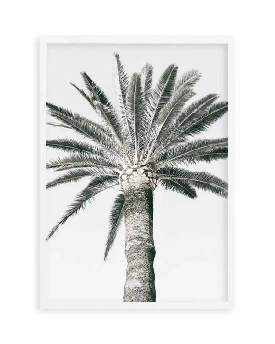Cannes Palm | PT Art Print from Olive et Oriel where you can shop wallpaper and artworks online
