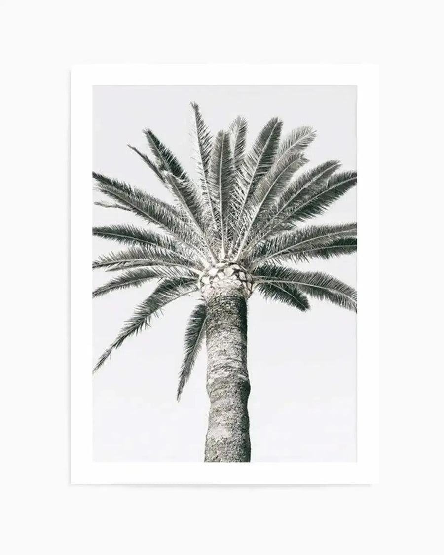 Cannes Palm | PT Art Print from Olive et Oriel where you can shop wallpaper and artworks online