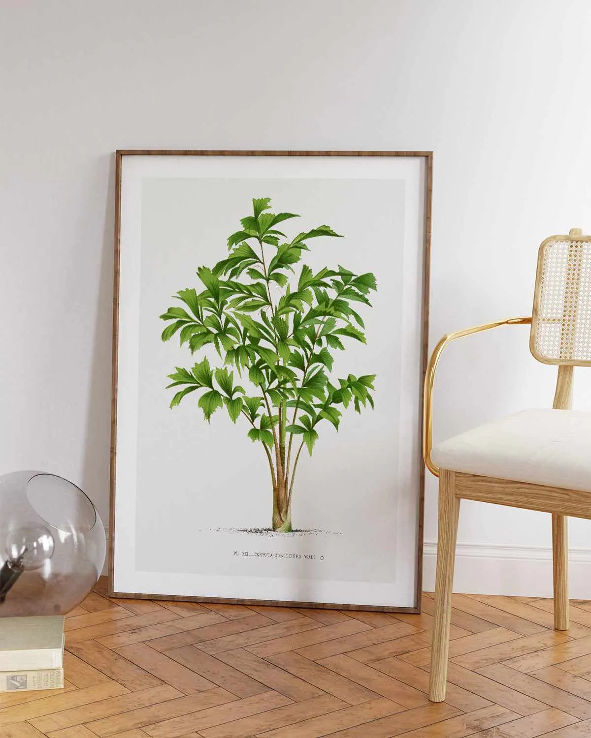 Caryota Sobolifera Vintage Palm Poster Art Print from Olive et Oriel where you can shop wallpaper and artworks online