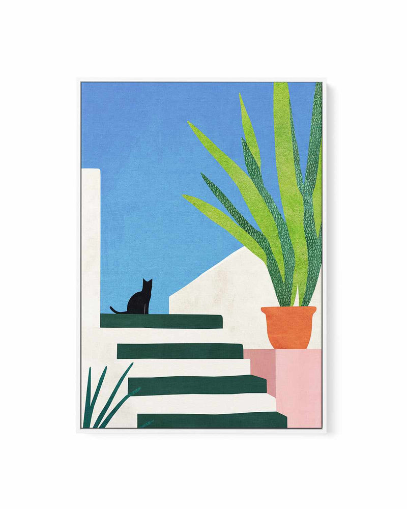 Cat, Greece by Henry Rivers | Framed Canvas Art Print